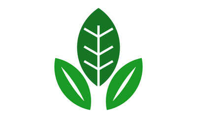 leaf logo on white background