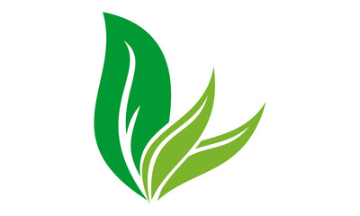 vector green leaf logo