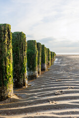 Scenic South Holland Beach with Mossy Breakwaters