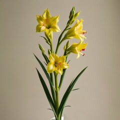 bouquet of flowers