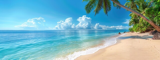 Panorama beach with palm trees and clouds in the sky