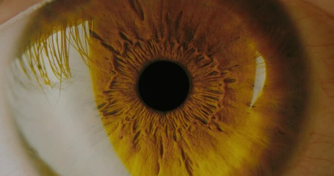 Extreme Close Up Zoom in Of Male Eye Tracking Shot Retina Contracts Depression 8k