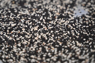 Ajonjolí negro tostado y blanco en semilla