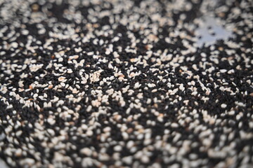 Ajonjolí negro tostado y blanco en semilla