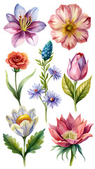 bouquet of flowers Stickers of flowers and plants on a transparent background, stickers for a flyer, letter, album, stickers, a set of plant stickers