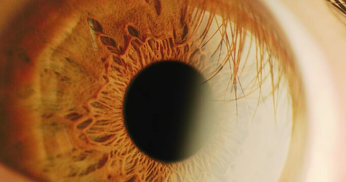 Close Up Of Colourful Human Eye Tracking Shot Iris Dilation Dream 8k