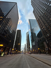 Urban Landscape: Skyscrapers in Downtown Chicago