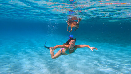 UNDERWATER: Smiling young lady in a bikini dives and swims beneath her doggo that floats on the surface. Joyful moment of a woman and her dog swimming together in crystal clear blue Adriatic Sea.