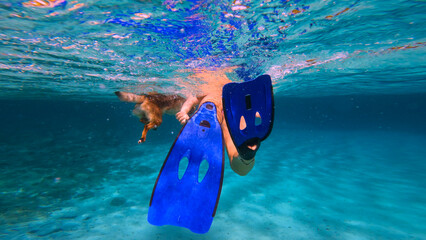 UNDERWATER: Rear view of a woman and her dog swimming together in deep blue water. Adventurous...