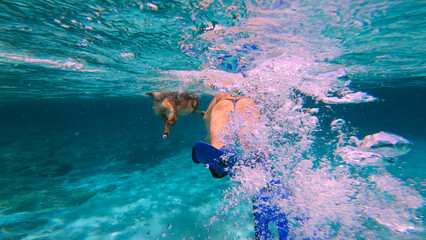 UNDERWATER: Active lady and a brown dog during a refreshing swim in crystal clear blue sea. Rear...