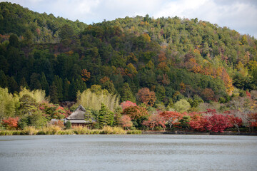 秋の広沢池　京都市右京区嵯峨