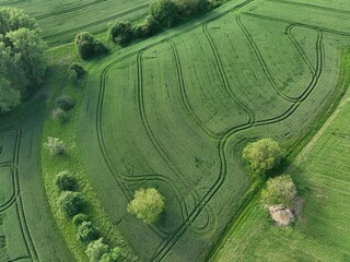 defaultDie Felder von Rheinland-Pfalz an einem sonnigen Sommertag in der nähe einer Stadt