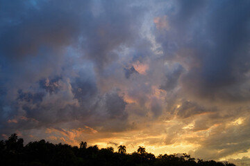 Vivid sunset during rainy clouds over tropical coconut trees. Wide angle.