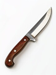 Obraz premium Knife isolated on white background