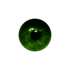 Green eye