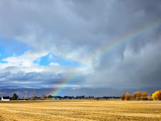 rainbow over field