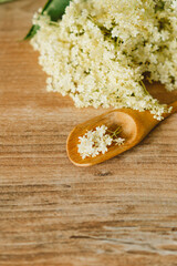 Freshly picked elderflower blossoms lie on a rustic wooden table, with a small wooden spoon holding a few delicate flowers, bathed in natural light.