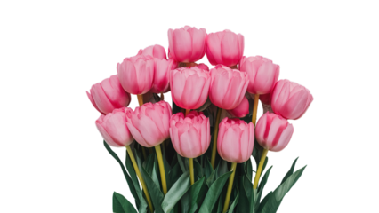 Happy Mother's day isolated on transparent background, Generative ai.