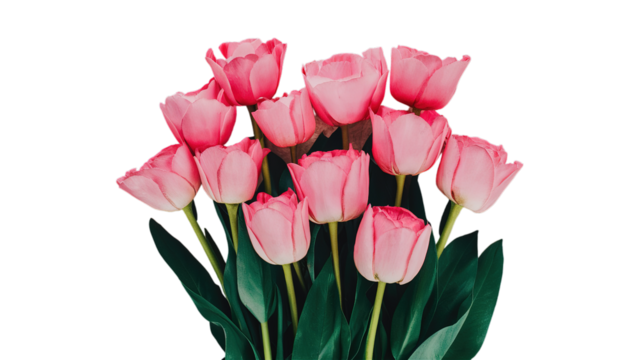 Happy Mother's day isolated on transparent background, Generative ai.