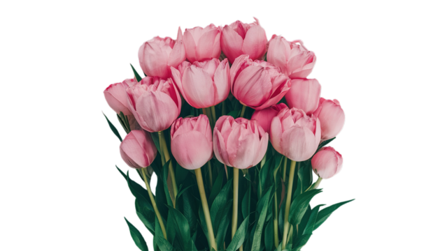 Happy Mother's day isolated on transparent background, Generative ai.