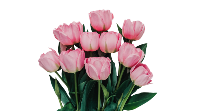 Happy Mother's day isolated on transparent background, Generative ai. - Powered by Adobe