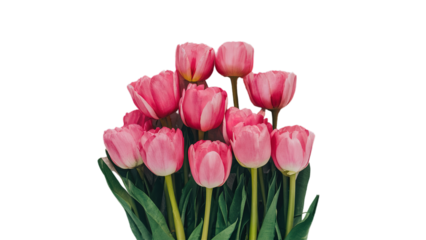 Happy Mother's day isolated on transparent background, Generative ai.