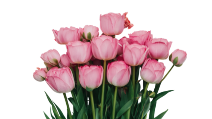 Happy Mother's day isolated on transparent background, Generative ai.