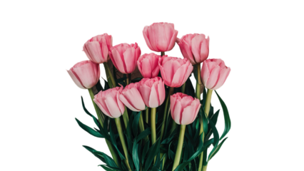 Happy Mother's day isolated on transparent background, Generative ai.