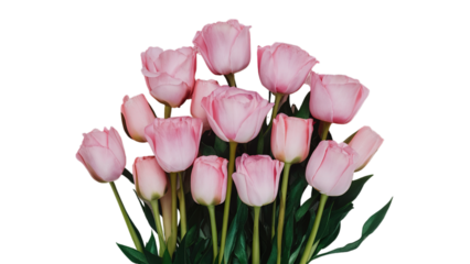 Happy Mother's day isolated on transparent background, Generative ai.