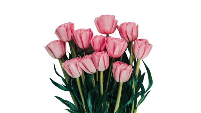 Happy Mother's day isolated on transparent background, Generative ai.