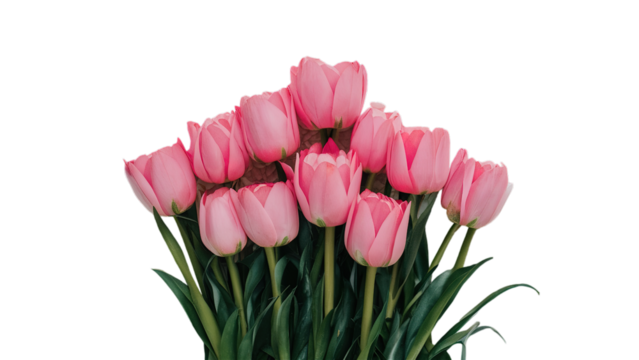 Happy Mother's day isolated on transparent background, Generative ai.