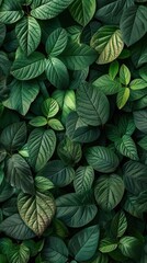 Fototapeta premium Stylized image of a lush green plant with brown leaves against a backdrop of a blurred green wall.