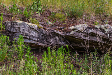 Dark red orange brown stone with cracks Closeup of uneven mountain surface