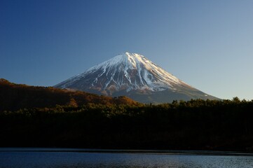 Mount Fuji , sunlight in the evening, Lake Sai in Yamanashi, Japan