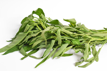 Fototapeta premium Hand holding Fresh water spinach isolated on white background.