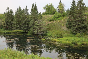 trees reflected in the peaceful waters of a pond at the bottom of a ravine