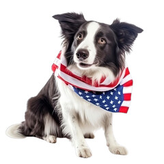 Border Collie American Flag - 2
