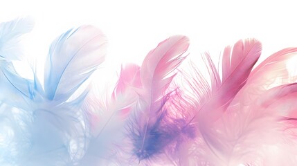 pastel feather abstract background texture