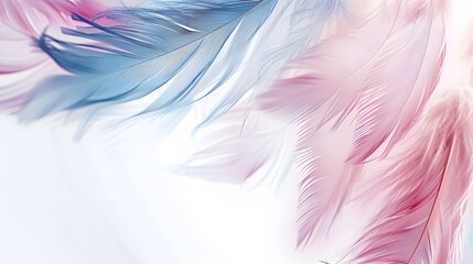 Fototapeta premium pastel feather abstract background texture