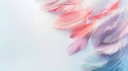 Fototapeta premium pastel feather abstract background texture