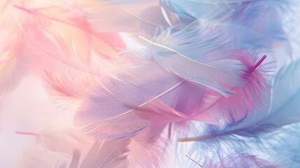 Obraz premium pastel feather abstract background texture