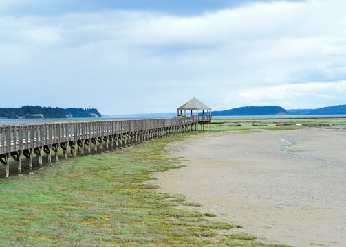 Boardwalk at the Billy Frank Jr Nisqually Wildlife Refuge in Lacey, Washington