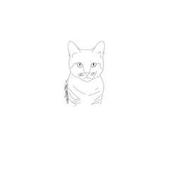 illustration of a cat line art only the cat png image