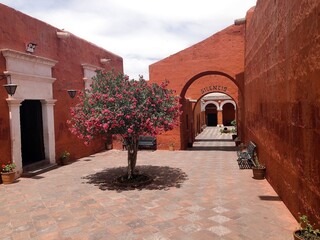 [Peru] brown color building and cobblestone road in Monastery of Santa Catalina de Siena (Arequipa)