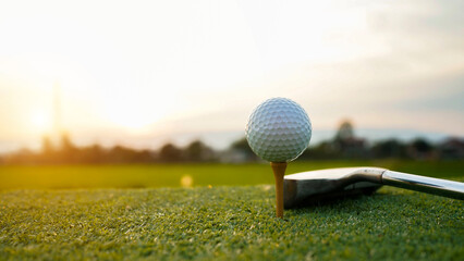 Golf ball and golf club on green in the evening golf course with sunshine.