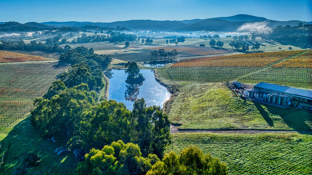 Aerial over Yarra Valley vineyard with a dam and fog in the distance