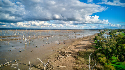 Scenic beauty of Lake Mulwala with dead trees lining the shore