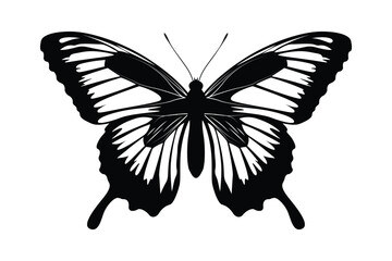 Black monochrome Butterfly Silhouettes Vector art