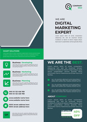 Digital marketing flyer and poster