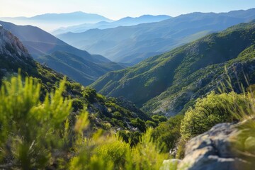Obraz premium A serene valley stretches below the trail summit, with blurry background